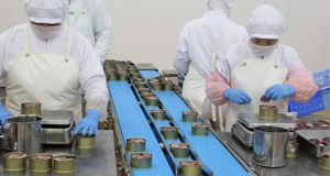 木の屋石巻水産